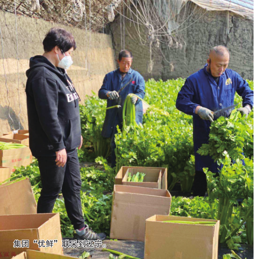 宝马bm1122线路顶级(中国游)有限公司官网