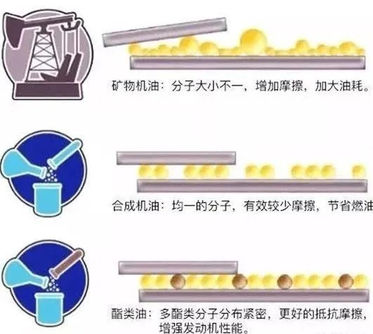 集团资讯_必发888